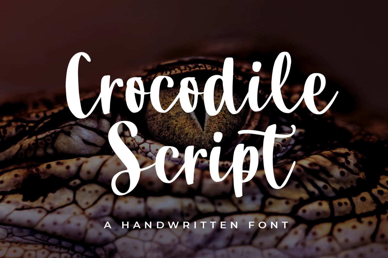 Crocodile Script Font